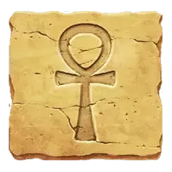 icon 9