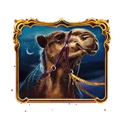 icon 4