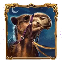 icon 3