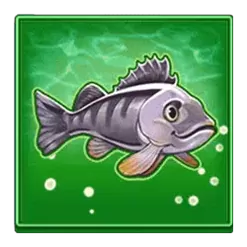 icon 10