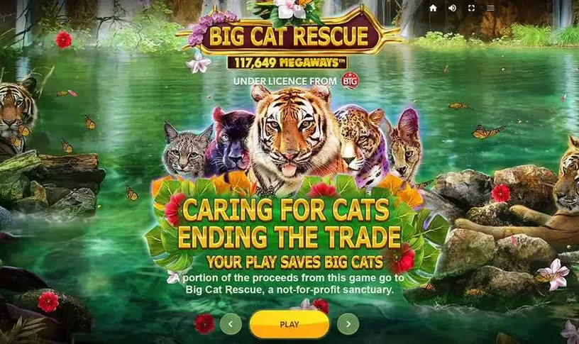 Big Cat Rescue MegaWays slot screenshot 1