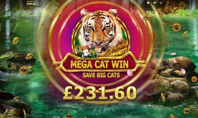 Big Cat Rescue MegaWays slot screenshot 3