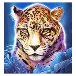 icon 2