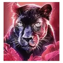 icon 3