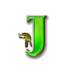 icon 8