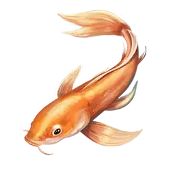 icon 3