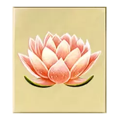 icon 4