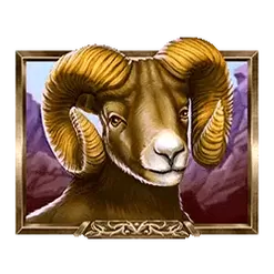 icon 4