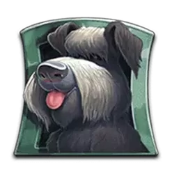 icon 5