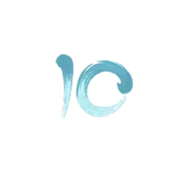 icon 10