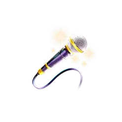 icon 4