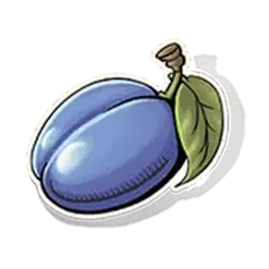 icon 6
