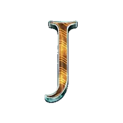 icon 12