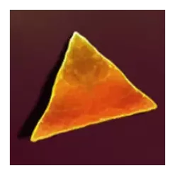 icon 6