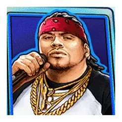 icon 13