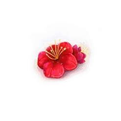 icon 6