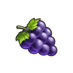 icon 5