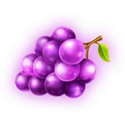 icon 6
