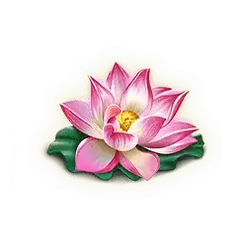 icon 4