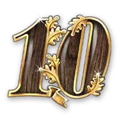 icon 10