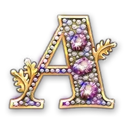 icon 6