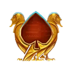 icon 5