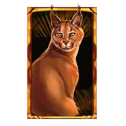 icon 5