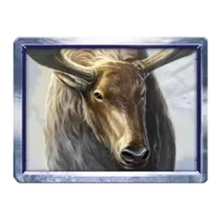 icon 5