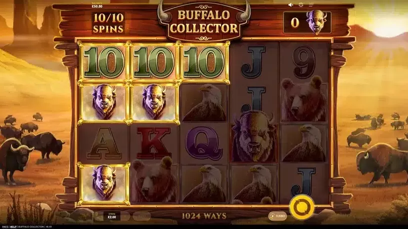 Buffalo Collector slot screenshot 4