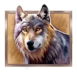icon 4