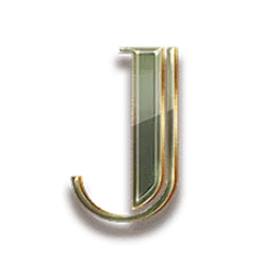 icon 9