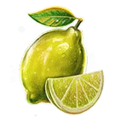 icon 6