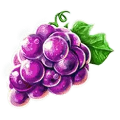 icon 4