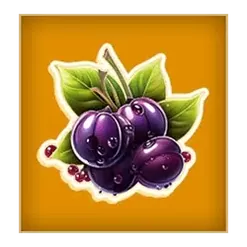 icon 6