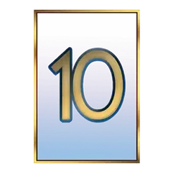 icon 10