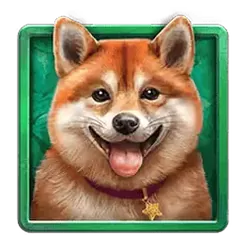 icon 2