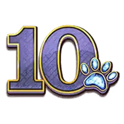 icon 9