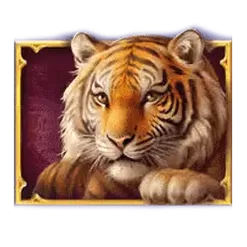 icon 4