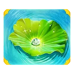 icon 4
