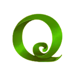 icon 9