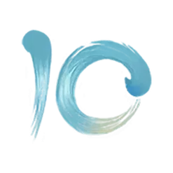 icon 9