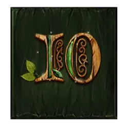 icon 9
