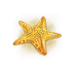 icon 4