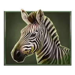 icon 4