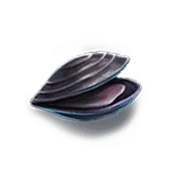 icon 10