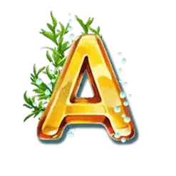 icon 6