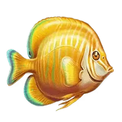 icon 1