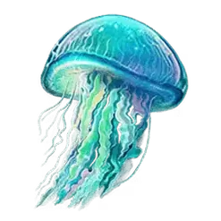 icon 5