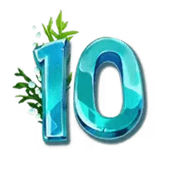 icon 10