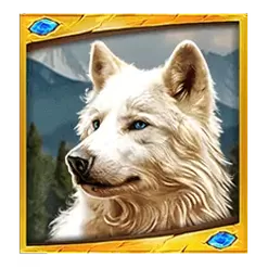 icon 1